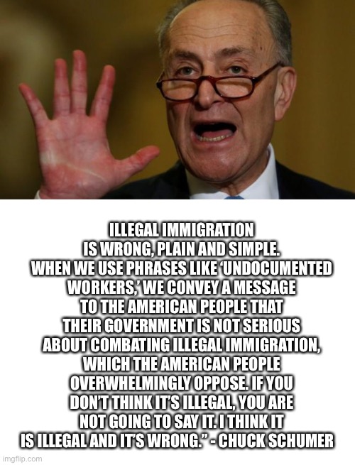 ILLEGAL IMMIGRATION IS WRONG, PLAIN AND SIMPLE. WHEN WE USE PHRASES LIKE ‘UNDOCUMENTED WORKERS,’ WE CONVEY A MESSAGE TO THE AMERICAN PEOPLE  | image tagged in chuck schumer,blank white template | made w/ Imgflip meme maker