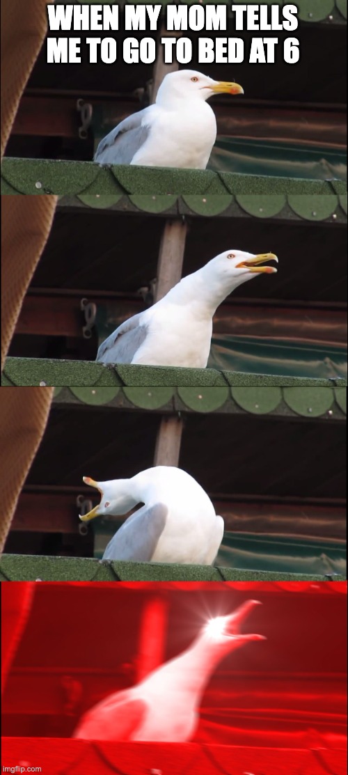 Inhaling Seagull Meme | WHEN MY MOM TELLS ME TO GO TO BED AT 6 | image tagged in memes,inhaling seagull | made w/ Imgflip meme maker