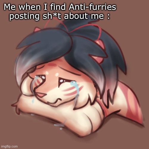 T-T | Me when I find Anti-furries posting sh*t about me : | image tagged in sad furry | made w/ Imgflip meme maker