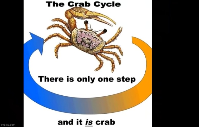 crab | made w/ Imgflip meme maker
