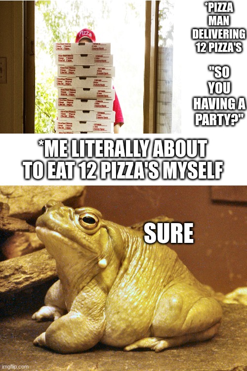 fattoadyboi |  *PIZZA MAN DELIVERING 12 PIZZA'S; "SO YOU HAVING A PARTY?"; *ME LITERALLY ABOUT TO EAT 12 PIZZA'S MYSELF; SURE | image tagged in funny memes,fattoad,memes,funny animals | made w/ Imgflip meme maker