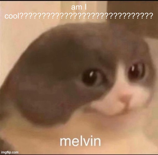 am | am I cool?????????????????????????????? | image tagged in melvin | made w/ Imgflip meme maker