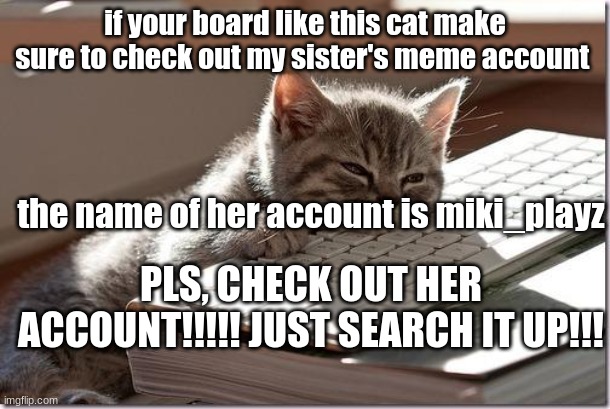 CHeck out miki_playz on imgflip pls | if your board like this cat make sure to check out my sister's meme account; the name of her account is miki_playz; PLS, CHECK OUT HER ACCOUNT!!!!! JUST SEARCH IT UP!!! | image tagged in bored keyboard cat,memes,funny,helpful | made w/ Imgflip meme maker