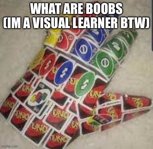 Uno Reverse Gauntlet | WHAT ARE BOOBS
(IM A VISUAL LEARNER BTW) | image tagged in uno reverse gauntlet | made w/ Imgflip meme maker
