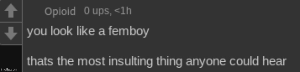 i still havent been banned from lgbtqiajksdjjsidhsdifhdiuhfusdgfhdshfuishfiuhsdiuf+ | image tagged in insulted | made w/ Imgflip meme maker