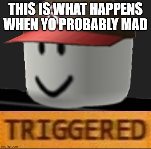 this is what happens 2 | THIS IS WHAT HAPPENS WHEN YO PROBABLY MAD | image tagged in roblox triggered | made w/ Imgflip meme maker