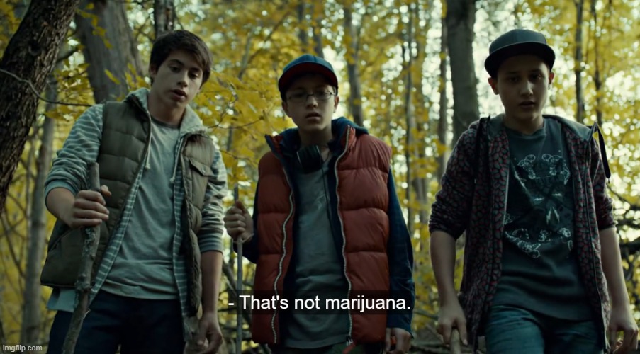 P F F F F T . It was a dead person's arm :skull: how tf does that look like weed | made w/ Imgflip meme maker