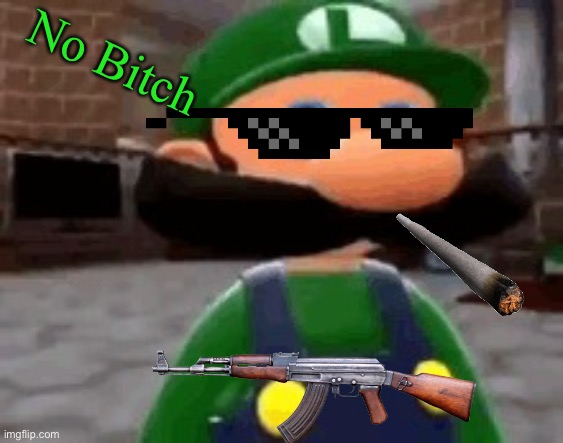 Where Mario | No Bitch | image tagged in where mario | made w/ Imgflip meme maker