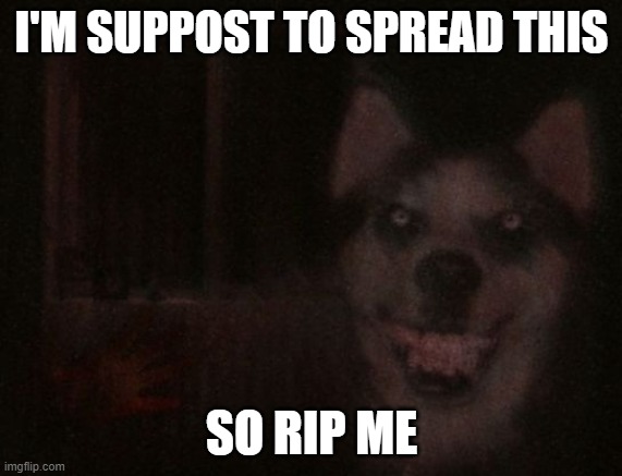 Whyyyyyyyyyyyyy | I'M SUPPOST TO SPREAD THIS; SO RIP ME | image tagged in smile dog | made w/ Imgflip meme maker