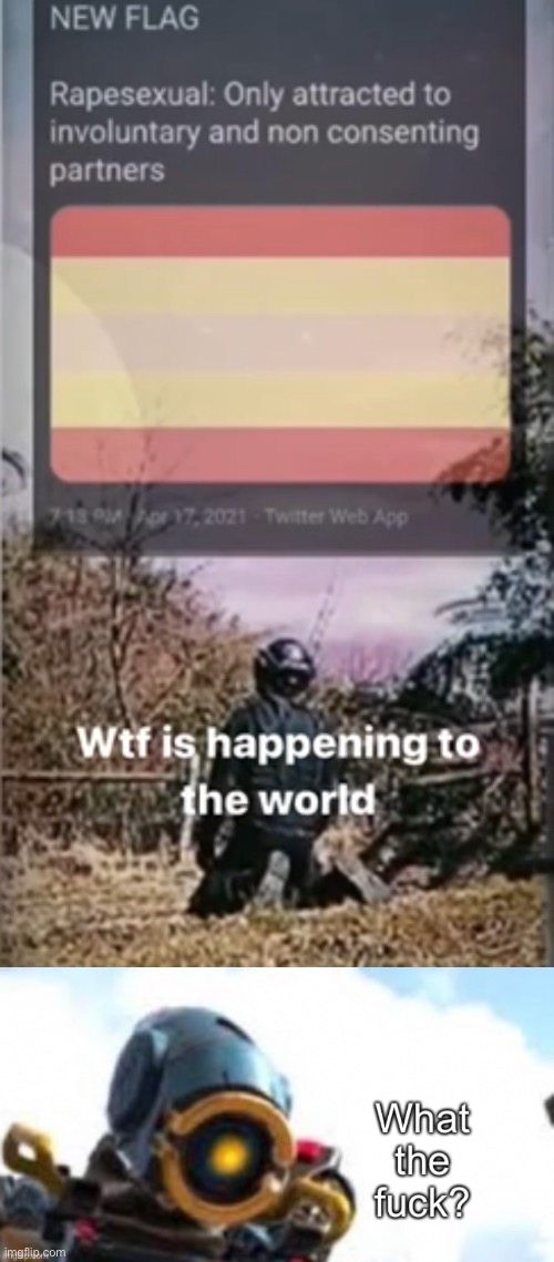 It looks satire to me but still, what in the ever living f**k is this? | made w/ Imgflip meme maker