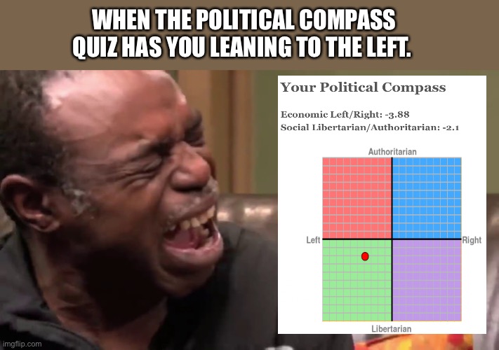 Political Quiz | WHEN THE POLITICAL COMPASS QUIZ HAS YOU LEANING TO THE LEFT. | image tagged in political meme,liberal | made w/ Imgflip meme maker
