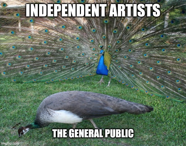 Independent artists peacock | INDEPENDENT ARTISTS; THE GENERAL PUBLIC | image tagged in independent,artists,peacock,musicians | made w/ Imgflip meme maker