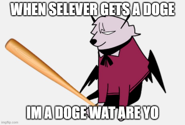 selever cheems | WHEN SELEVER GETS A DOGE; IM A DOGE WAT ARE YO | image tagged in selever cheems | made w/ Imgflip meme maker