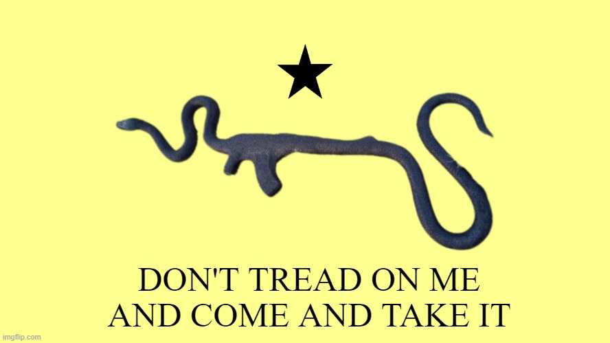 cursed | DON'T TREAD ON ME AND COME AND TAKE IT | image tagged in rmk,come and take it,don't tread on me,gadsden flag,gadsden flag kind of | made w/ Imgflip meme maker