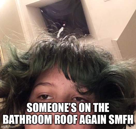 SOMEONE’S ON THE BATHROOM ROOF AGAIN SMFH | made w/ Imgflip meme maker