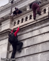 6d0y49.gif