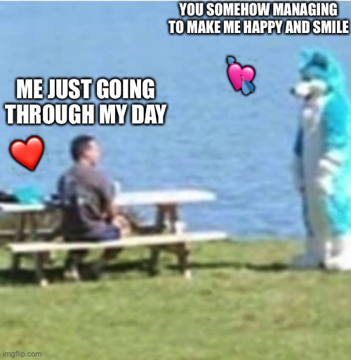 Somehow, someway... it's incredible | YOU SOMEHOW MANAGING TO MAKE ME HAPPY AND SMILE; 💘; ME JUST GOING THROUGH MY DAY; ❤️ | image tagged in furry staring,wholesome | made w/ Imgflip meme maker