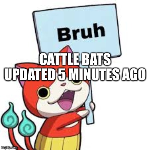 battle bats | CATTLE BATS UPDATED 5 MINUTES AGO | image tagged in bruhnyan | made w/ Imgflip meme maker