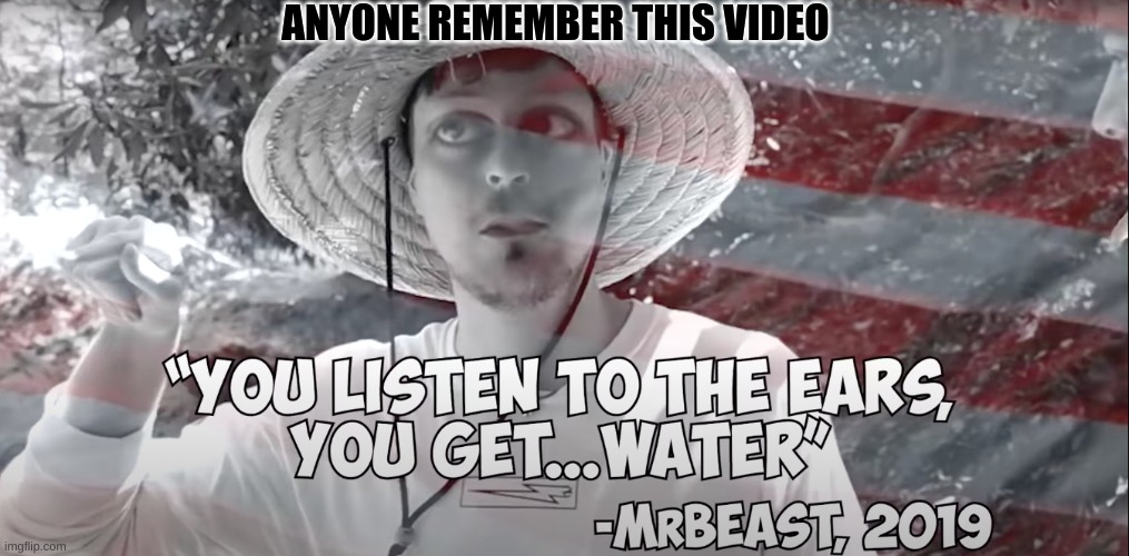 am I the only one who will go back and watch his old videos? | ANYONE REMEMBER THIS VIDEO | image tagged in mrbeast | made w/ Imgflip meme maker