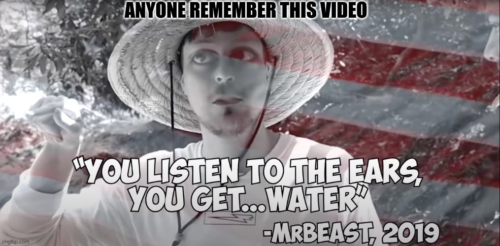 am I the only one who goes back and watches his old videos? | ANYONE REMEMBER THIS VIDEO | image tagged in mrbeast | made w/ Imgflip meme maker