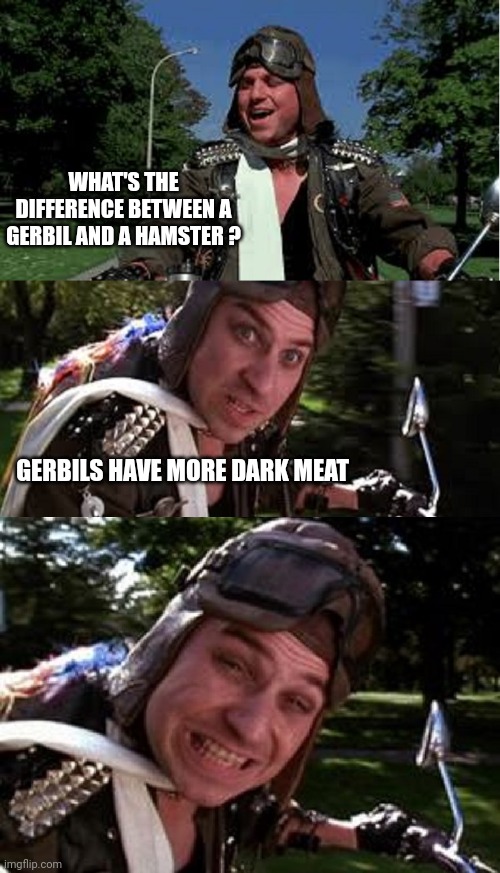 Giving Bobcats a Bad Name | WHAT'S THE DIFFERENCE BETWEEN A GERBIL AND A HAMSTER ? GERBILS HAVE MORE DARK MEAT | image tagged in bad pun bobcat goldthwait | made w/ Imgflip meme maker