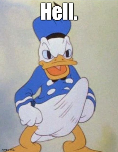 Donald Dick | Hell. | image tagged in donald dick | made w/ Imgflip meme maker