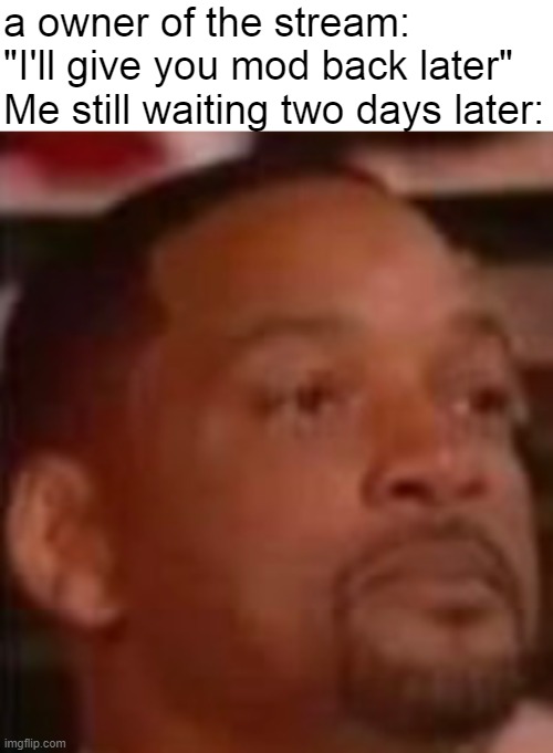 a owner of the stream: "I'll give you mod back later"
Me still waiting two days later: | image tagged in blank white template,will smith i just slapped you face | made w/ Imgflip meme maker
