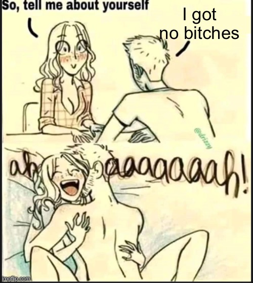 tell me about yourself better | I got no bitches | image tagged in tell me about yourself better | made w/ Imgflip meme maker