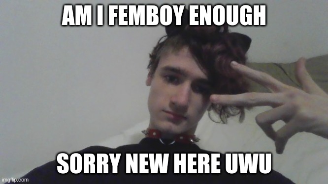 AM I FEMBOY ENOUGH; SORRY NEW HERE UWU | made w/ Imgflip meme maker