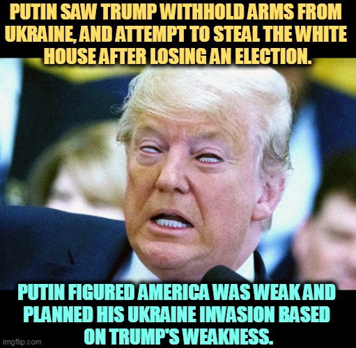 Putin thought Biden was as weak as Trump. Wrong. | PUTIN SAW TRUMP WITHHOLD ARMS FROM 
UKRAINE, AND ATTEMPT TO STEAL THE WHITE 
HOUSE AFTER LOSING AN ELECTION. PUTIN FIGURED AMERICA WAS WEAK AND 
PLANNED HIS UKRAINE INVASION BASED 
ON TRUMP'S WEAKNESS. | image tagged in putin,mistake,trump,weakness,biden,strength | made w/ Imgflip meme maker
