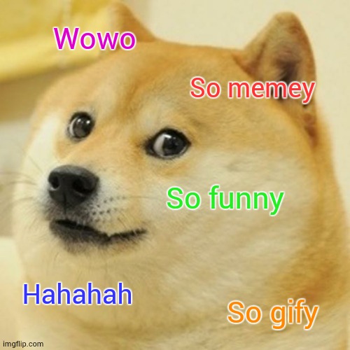 Doge | Wowo; So memey; So funny; Hahahah; So gify | image tagged in memes,doge | made w/ Imgflip meme maker