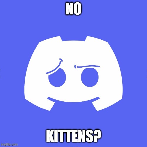 No Kittens? | image tagged in nobitches | made w/ Imgflip meme maker
