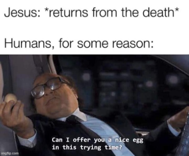 why | image tagged in can i offer you a nice egg in this trying time | made w/ Imgflip meme maker