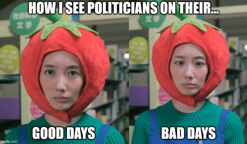 How I See Politicians | HOW I SEE POLITICIANS ON THEIR... GOOD DAYS                          BAD DAYS | image tagged in funny | made w/ Imgflip meme maker