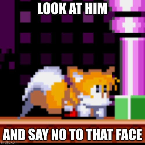 How could anyone say no to that face??? | LOOK AT HIM; AND SAY NO TO THAT FACE | made w/ Imgflip meme maker