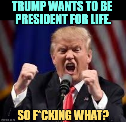 We owe him exactly nothing. He pretends you have an obligation, but you don't. | TRUMP WANTS TO BE 
PRESIDENT FOR LIFE. SO F*CKING WHAT? | image tagged in trump angry punch,trump,dictator,no way | made w/ Imgflip meme maker