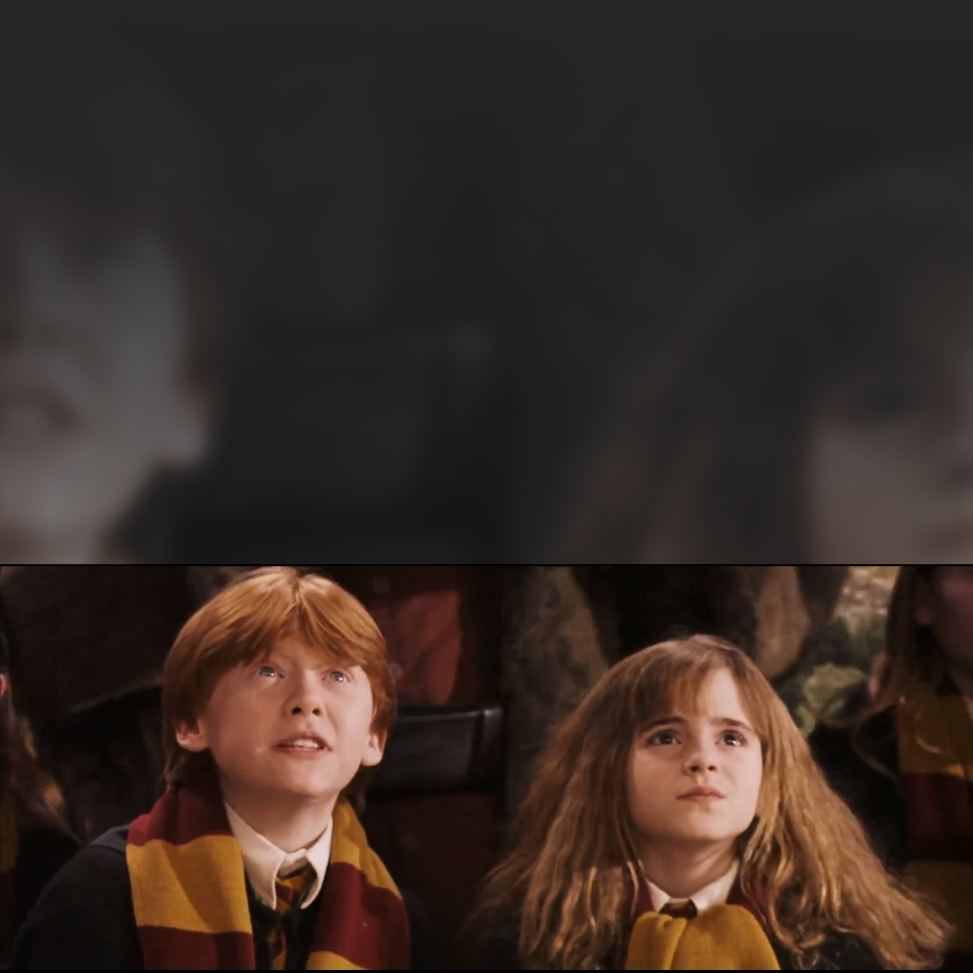 High Quality Hermione and Ron perspective (Harry Potter) Blank Meme Template