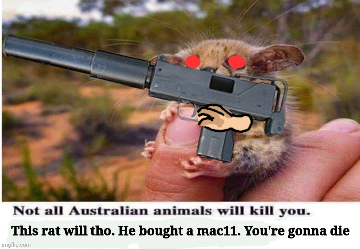 Australia is trying to kill me | This rat will tho. He bought a mac11. You're gonna die | image tagged in meanwhile in australia,animals,mac11,guns,rats | made w/ Imgflip meme maker