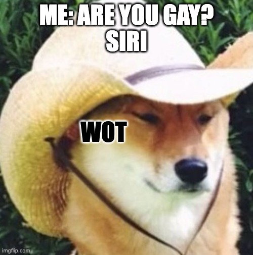 asking siri if he/she is gay in a nutshell |  ME: ARE YOU GAY?
SIRI; WOT | image tagged in wot in tarnation,siri,gay | made w/ Imgflip meme maker