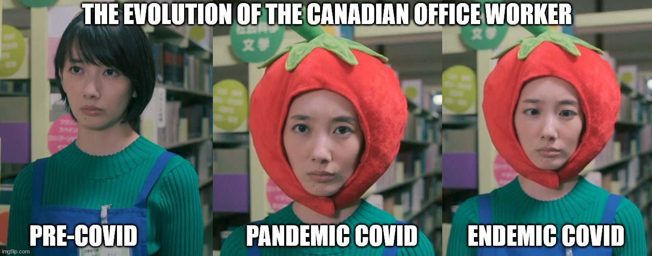 Evolution of the Office Worker | THE EVOLUTION OF THE CANADIAN OFFICE WORKER; PRE-COVID                        PANDEMIC COVID           ENDEMIC COVID | image tagged in funny | made w/ Imgflip meme maker