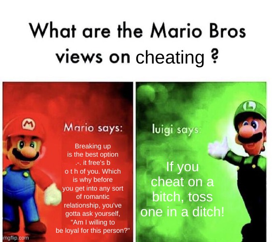Credits to Narcotic. for giving me an idea for a good meme. | cheating; Breaking up is the best option .-. it free's b o t h of you. Which is why before you get into any sort of romantic relationship, you've gotta ask yourself, "Am I willing to be loyal for this person?"; If you cheat on a bitch, toss one in a ditch! | image tagged in mario bros views | made w/ Imgflip meme maker