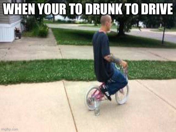 WHEN YOUR TO DRUNK TO DRIVE | image tagged in bike | made w/ Imgflip meme maker