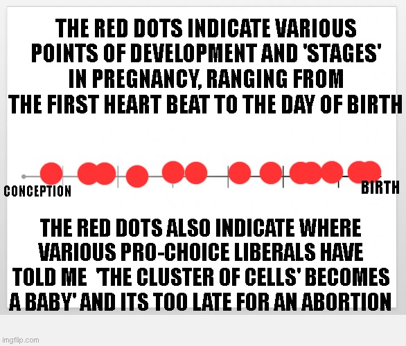 TimeLine | THE RED DOTS INDICATE VARIOUS POINTS OF DEVELOPMENT AND 'STAGES' IN PREGNANCY, RANGING FROM THE FIRST HEART BEAT TO THE DAY OF BIRTH; BIRTH; CONCEPTION; THE RED DOTS ALSO INDICATE WHERE VARIOUS PRO-CHOICE LIBERALS HAVE TOLD ME  'THE CLUSTER OF CELLS' BECOMES A BABY' AND ITS TOO LATE FOR AN ABORTION | image tagged in timeline | made w/ Imgflip meme maker