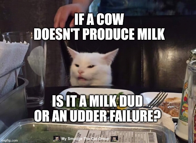 IF A COW DOESN'T PRODUCE MILK; IS IT A MILK DUD OR AN UDDER FAILURE? | image tagged in smudge the cat | made w/ Imgflip meme maker