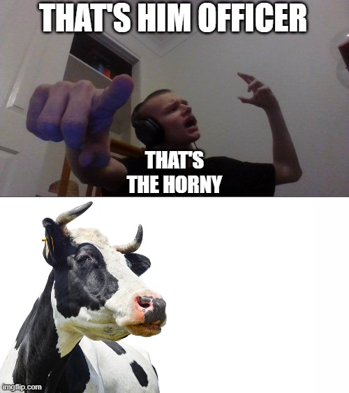THAT'S HIM OFFICER; THAT'S THE HORNY | made w/ Imgflip meme maker