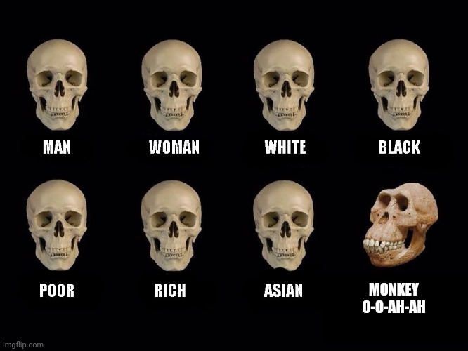 O-o-ah-ah | MONKEY O-O-AH-AH | image tagged in empty skulls of truth | made w/ Imgflip meme maker