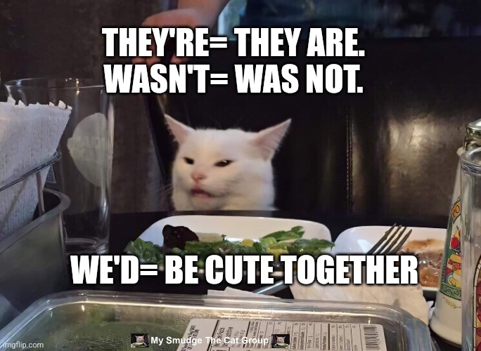  THEY'RE= THEY ARE.
WASN'T= WAS NOT. WE'D= BE CUTE TOGETHER | image tagged in smudge the cat | made w/ Imgflip meme maker