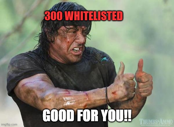 ok | 300 WHITELISTED; GOOD FOR YOU!! | image tagged in sylvester stallone thumbs up,good | made w/ Imgflip meme maker