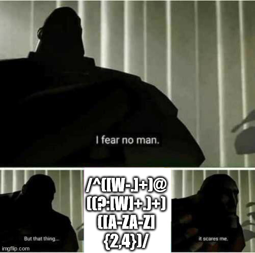 I fear no man | /^([W-.]+)@
((?:[W]+.)+)
([A-ZA-Z]
{2,4})/ | image tagged in i fear no man | made w/ Imgflip meme maker