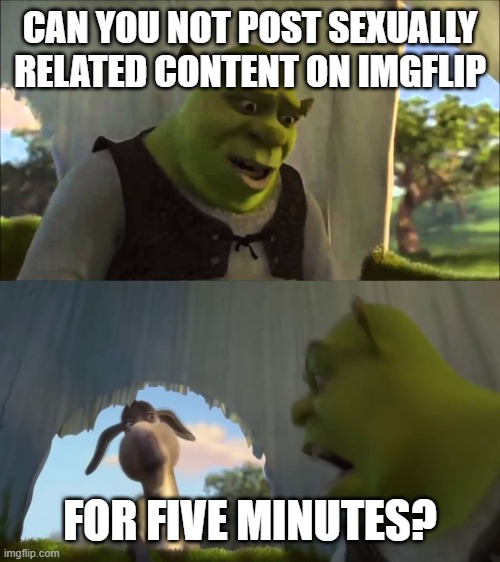just post memes! | CAN YOU NOT POST SEXUALLY RELATED CONTENT ON IMGFLIP; FOR FIVE MINUTES? | image tagged in can you not x for five minutes | made w/ Imgflip meme maker